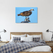 Osprey, Florida Canvas Afdruk (Insitu (Slaapkamer))