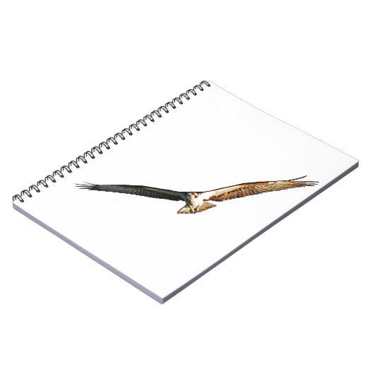 Osprey Flying Notitieboek (Linkerzijde)