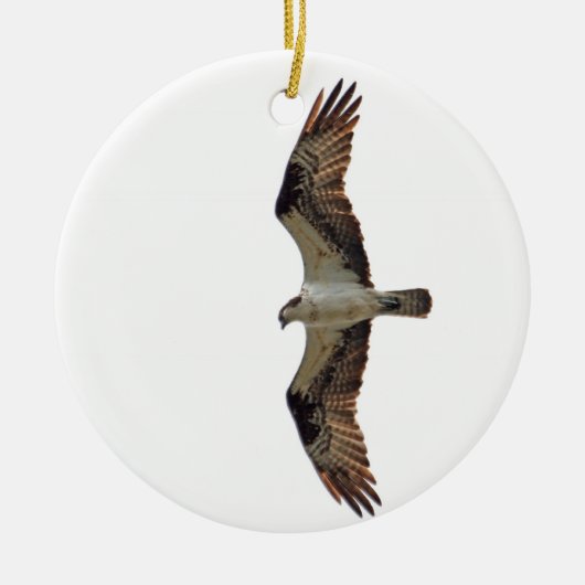 Osprey Flying Photo Keramisch Ornament (Voorkant)