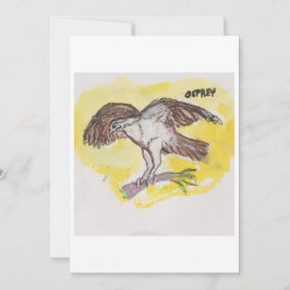 Osprey Greeting Card Kaart