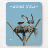 Osprey hawk nest Mousepad Muismat (Voorkant)
