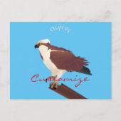 Osprey Hawk Raptor Thunder_Cove Briefkaart (Voorkant)