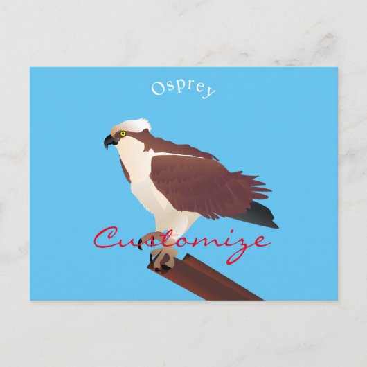 Osprey Hawk Raptor Thunder_Cove Briefkaart (Voorkant)