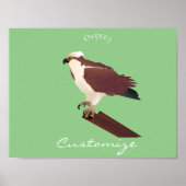 Osprey Hawk Raptor Thunder_Cove Poster (Voorkant)