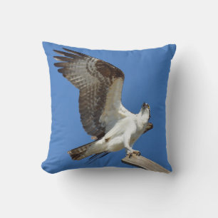 Osprey Hawk stretching wings Pillow Kussen