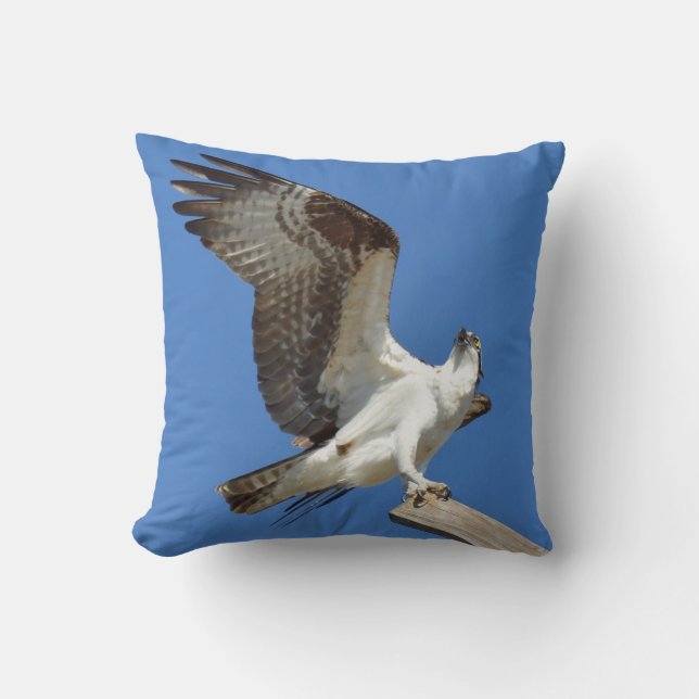 Osprey Hawk stretching wings Pillow Kussen (Voorkant)