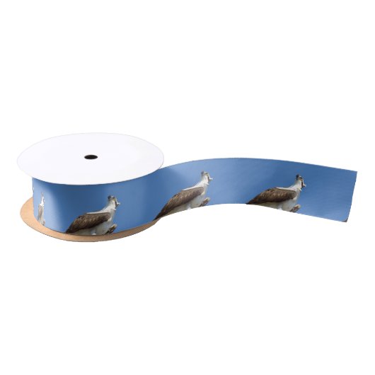 Osprey Hawk vogel lint spoel (Spoel)