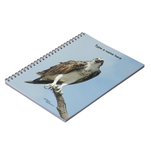 Osprey Hawk zingende laptop Notitieboek (Linkerzijde)