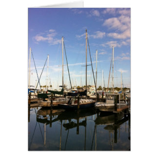 Osprey in de Masthead