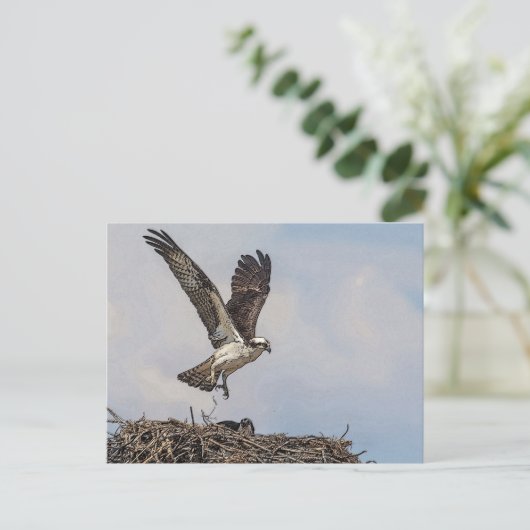 Osprey in een nest briefkaart (Staand voorkant)