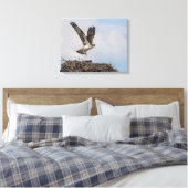 Osprey in een nest canvas afdruk (Insitu (Slaapkamer))