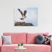 Osprey in een nest canvas afdruk (Insitu (Woonkamer))