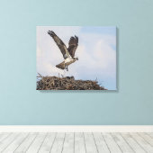 Osprey in een nest canvas afdruk (Insitu (Houten vloer))