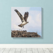 Osprey in een nest canvas afdruk (Insitu (Houten vloer))
