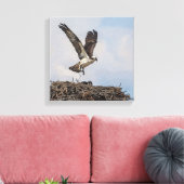 Osprey in een nest canvas afdruk (Insitu (Woonkamer))