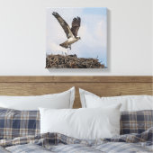 Osprey in een nest canvas afdruk (Insitu (Slaapkamer))