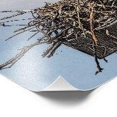 Osprey in een nest foto afdruk (Hoek)