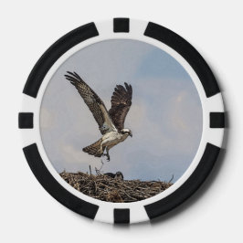 Osprey in een nest poker chips