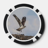 Osprey in een nest poker chips (Achterkant)