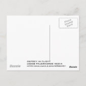 Osprey in Flight Briefkaart (Achterkant)