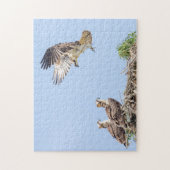 Osprey in het nest (drie amigos) legpuzzel (Verticaal)