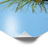 Osprey in het wild foto afdruk (Hoek)