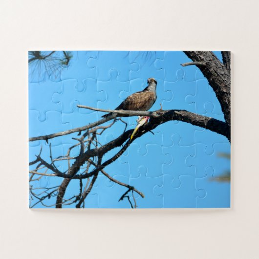 Osprey in het wild legpuzzel (Horizontaal)