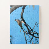 Osprey in het wild legpuzzel (Verticaal)