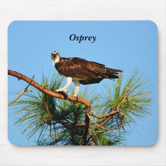 Osprey in het wild muismat (Voorkant)