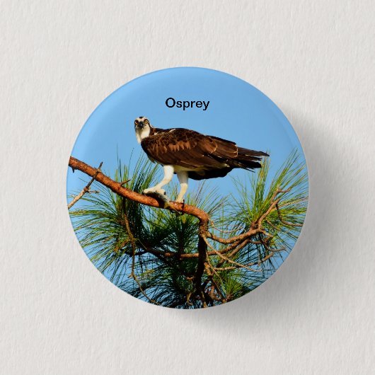Osprey in het wild ronde button 3,2 cm (Voorkant)