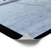 Osprey in Nest Poster (Hoek)