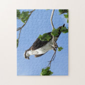 Osprey in Tree - Raptor - Vogel Legpuzzel (Verticaal)