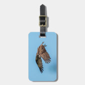 Osprey in vlucht in het State Park van Honeymoon I Bagagelabel (Voorkant verticaal)