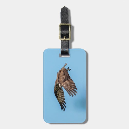 Osprey in vlucht in het State Park van Honeymoon I Bagagelabel (Voorkant verticaal)