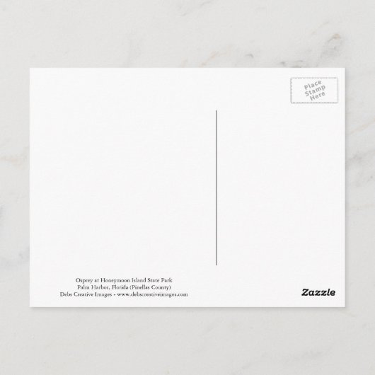 Osprey in vlucht in het State Park van Honeymoon I Briefkaart (Achterkant)