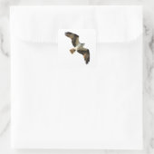 Osprey in vlucht Logo Vierkante Sticker (Tas)