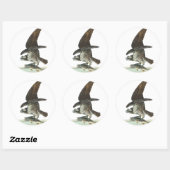 Osprey, John Audubon Ronde Sticker (Vel)
