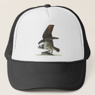 Osprey, John Audubon Trucker Pet