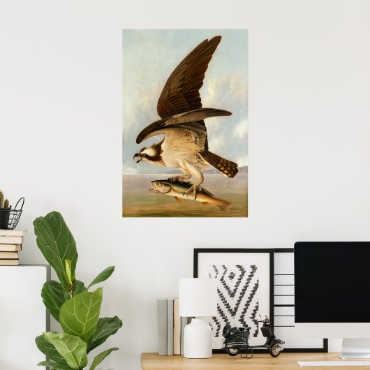 Osprey - John James Audubon Fine Art Poster (Thuiskantoor)