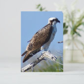 Osprey-kaart voor Natuur Bedankkaart (Staand voorkant)