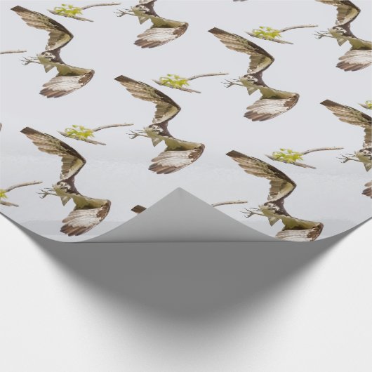 Osprey komt u aan cadeaupapier (Hoek)