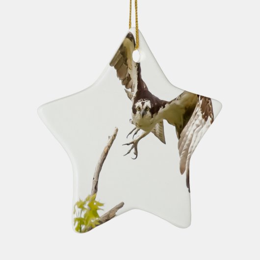 Osprey komt u aan keramisch ornament (Rechts)