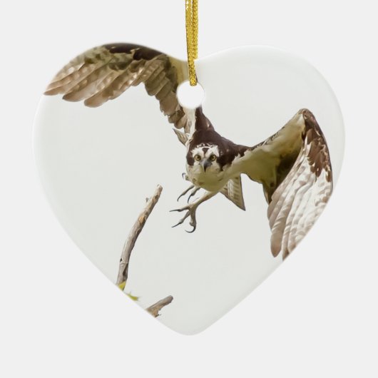 Osprey komt u aan keramisch ornament (Voorkant)