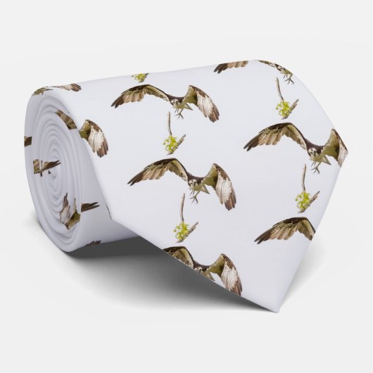 Osprey komt u aan stropdas (Opgerold)