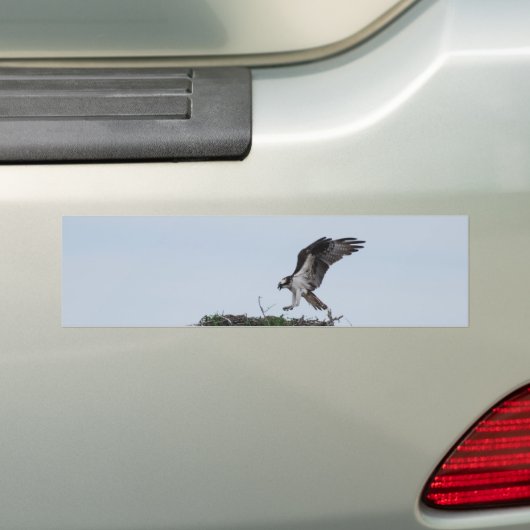 Osprey Landing Bumperstickers (Op auto)