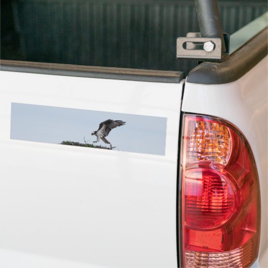 Osprey Landing Bumperstickers (Op Truck)