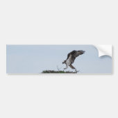 Osprey Landing Bumperstickers (Voorkant)