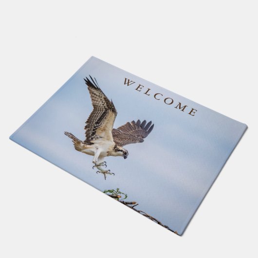 Osprey-landing in het nest deurmat (Schuin)