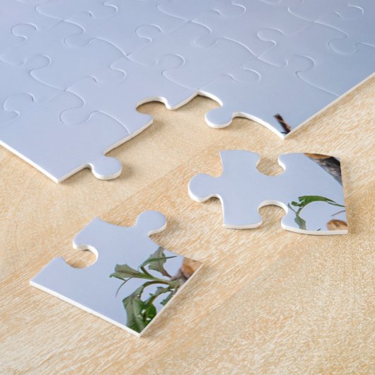 Osprey-landing in het nest legpuzzel (Zijkant)