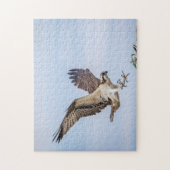 Osprey-landing in het nest legpuzzel (Verticaal)